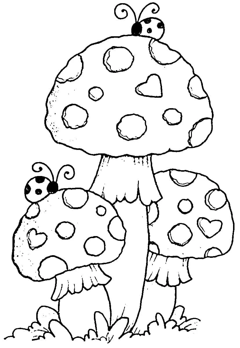 Champignon 15